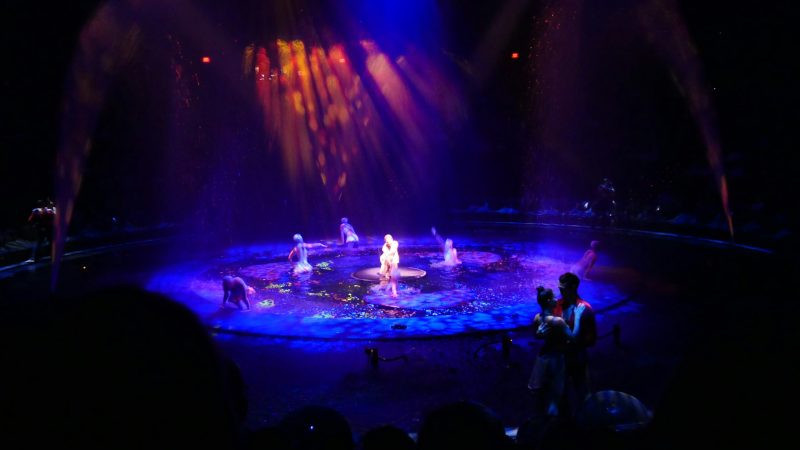 Les comédies musicales à voir à Paris en ce moment et dans les mois à venir